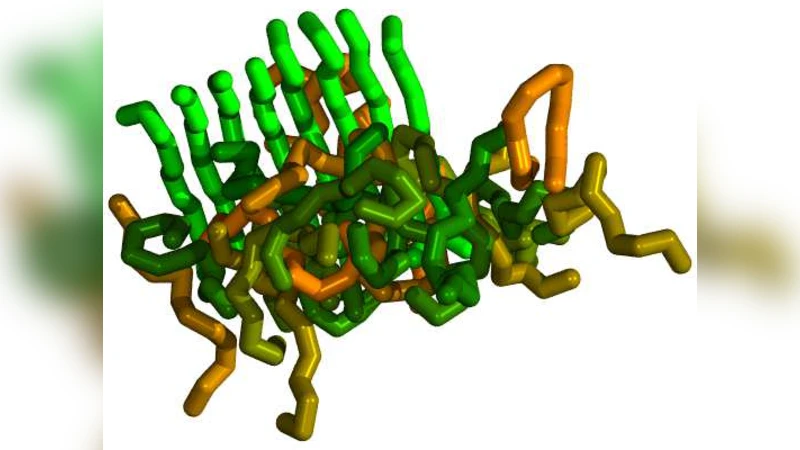 Self-Templated Nucleation in Peptide and Protein aggregation