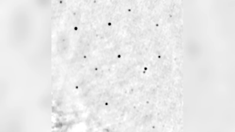 From 1000 AU to 1000 pc: high proper-motion stars in the solar   neighbourhood, radio sources in the sigma Orionis cluster, and new X-ray   stars surrounding Alnilam