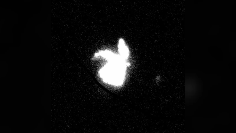 Downsizing among disk galaxies and the role of the environment