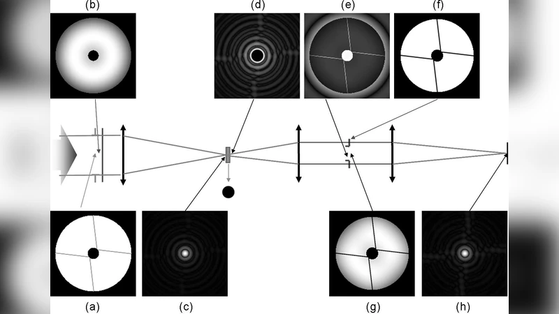 Apodized Lyot Coronagraph for VLT-SPHERE: Laboratory tests and   performances of a first prototype in the visible
