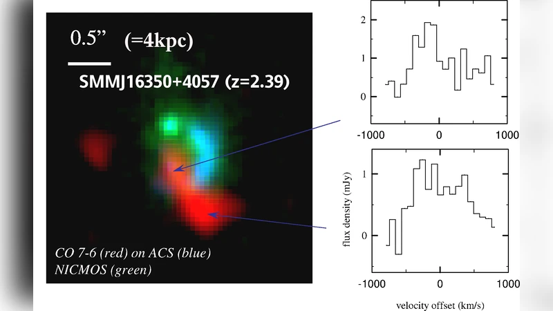 The ISM in Distant Galaxies