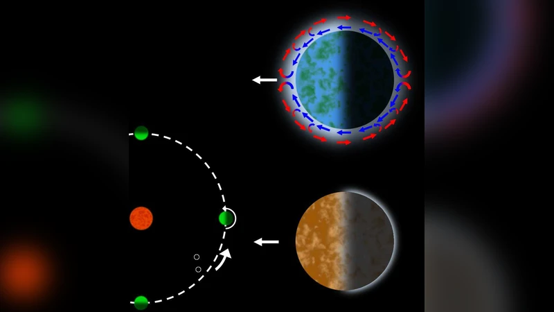 The "Living with a Red Dwarf" Program