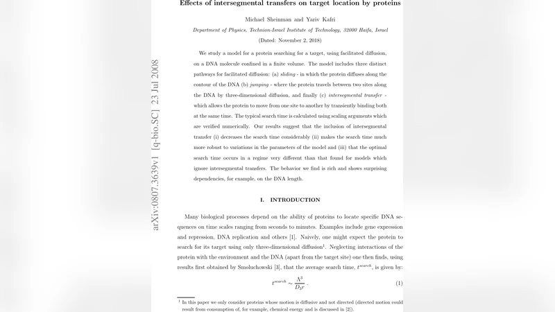 Effects of intersegmental transfers on target location by proteins