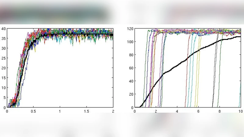Cell-to-Cell stochastic fluctuations in apoptotic signaling can decide   between life and death