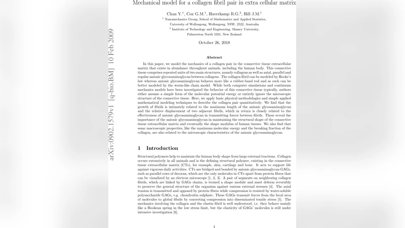 Mechanical model for a collagen fibril pair in extracellular matrix