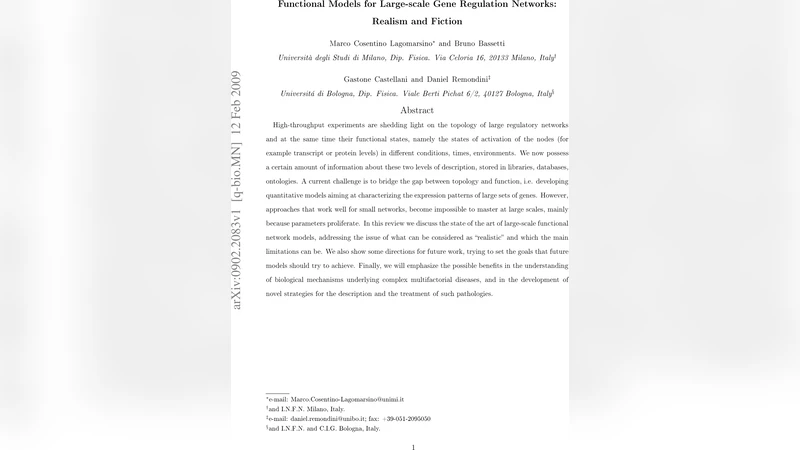 Functional models for large-scale gene regulation networks: realism and   fiction
