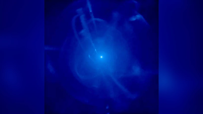 The Role of Dwarf Galaxies in Building Large Stellar Halos