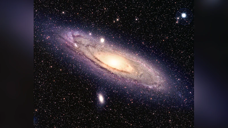 The History of Star Formation in Galaxies