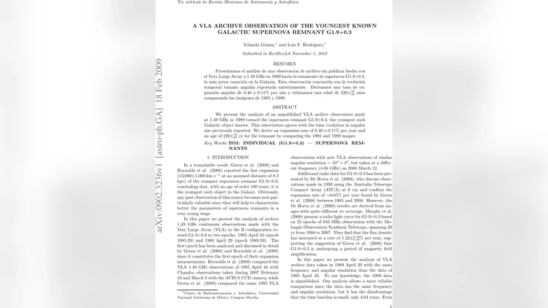A VLA Archive Observation of the Youngest Known Galactic Supernova   Remnant G1.9+0.3
