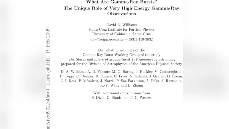 What Are Gamma-Ray Bursts -- The Unique Role of Very High Energy   Gamma-Ray Observations