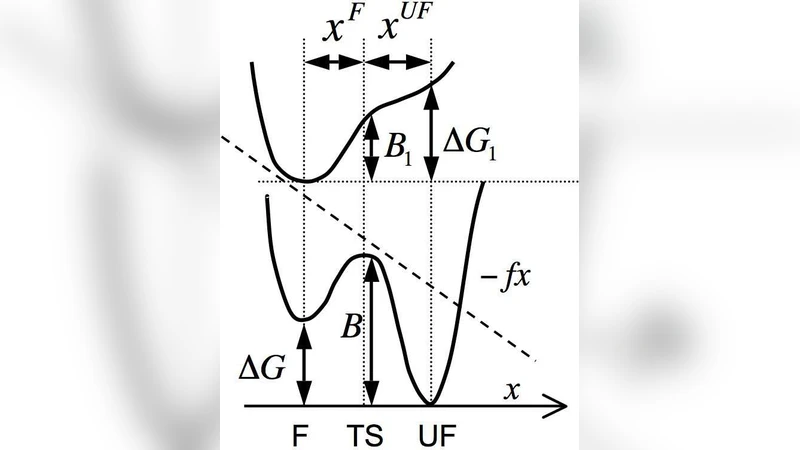 Dynamic force spectroscopy of DNA hairpins. II. Irreversibility and   dissipation