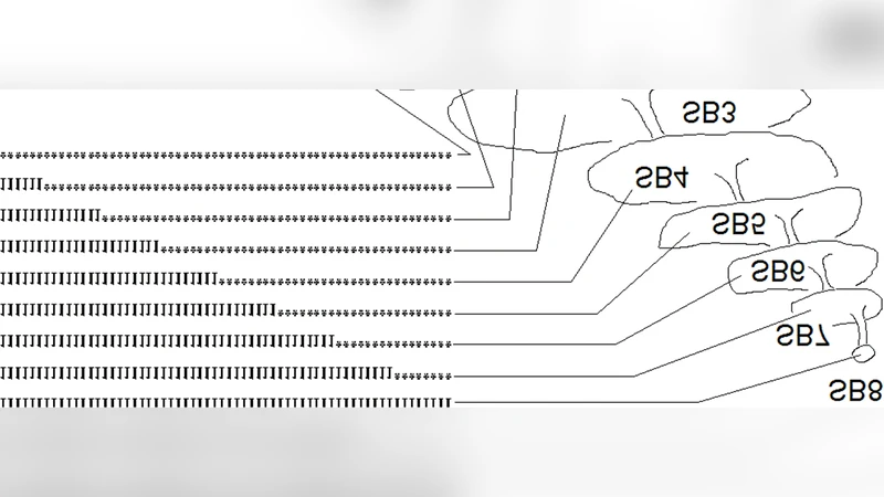 Design of a dynamic model of genes with multiple autonomous regulatory   modules by evolution in silico