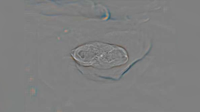 XIM: A virtual X-ray observatory for hydrodynamic simulations