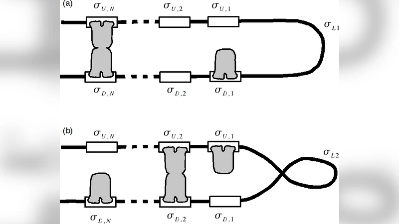 Strong cooperativity and inhibitory effects in DNA multi-looping   processes