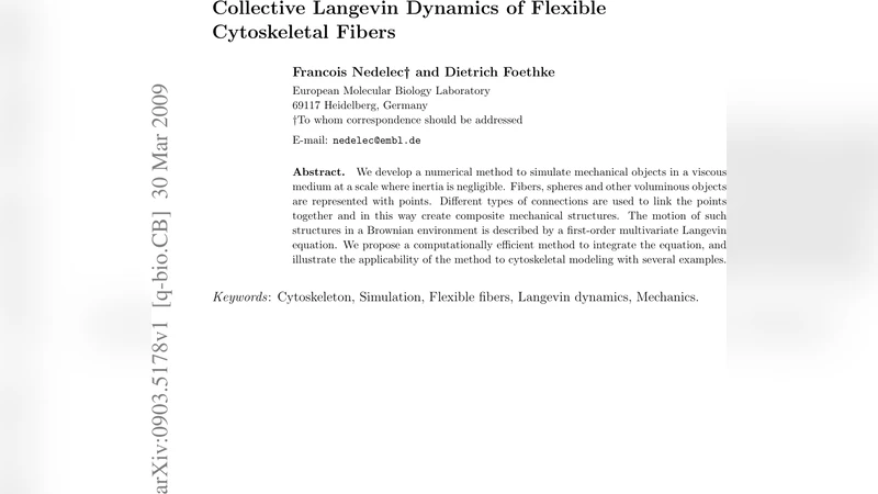 Collective Langevin Dynamics of Flexible Cytoskeletal Fibers