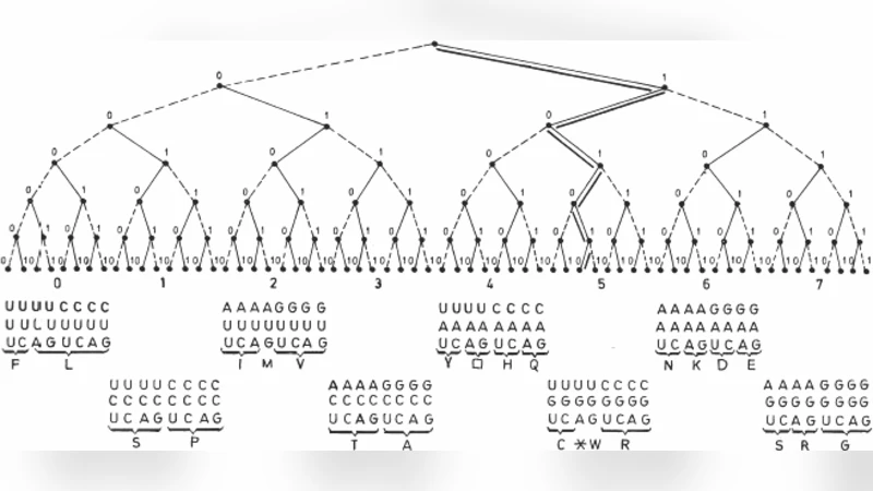 Genetic Code: The unity of the stereochemical determinism and pure   chance