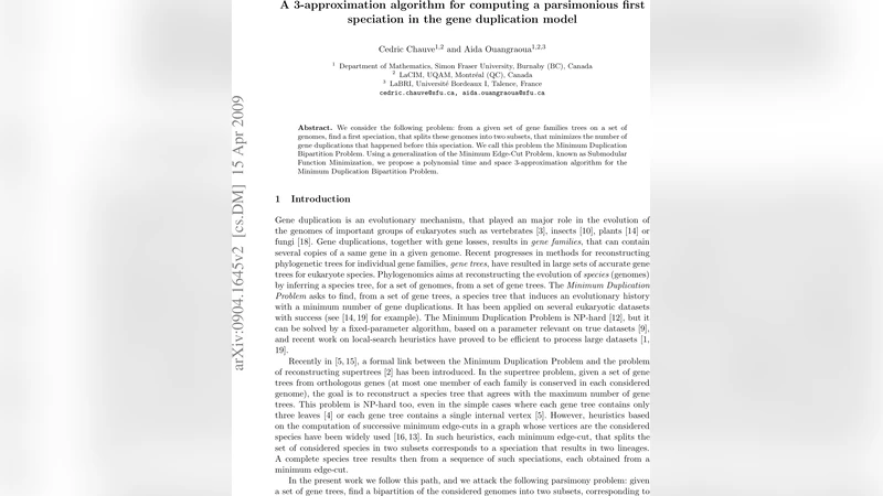 A 3-approximation algorithm for computing a parsimonious first   speciation in the gene duplication model