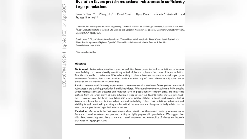 Evolution favors protein mutational robustness in sufficiently large   populations