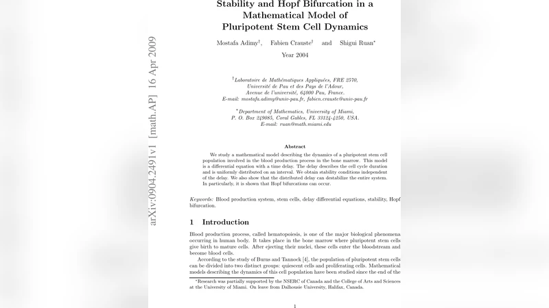 Stability and Hopf bifurcation in a mathematical model of pluripotent   stem cell dynamics