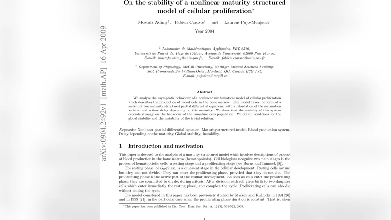 On the stability of a maturity structured model of cellular   proliferation