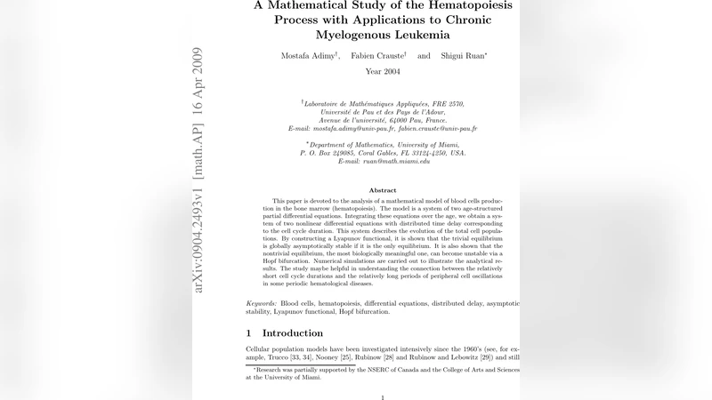 A mathematical study of the hematopoiesis process with applications to   chronic myelogenous leukemia