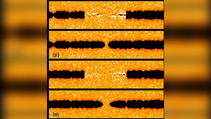 Chaotic Gene Regulatory Networks Can Be Robust Against Mutations and   Noise