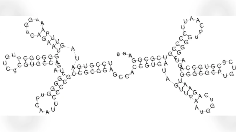Parametric analysis of RNA folding