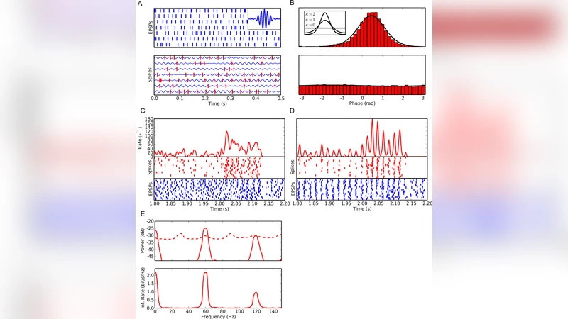 Retinal oscillations carry visual information to cortex