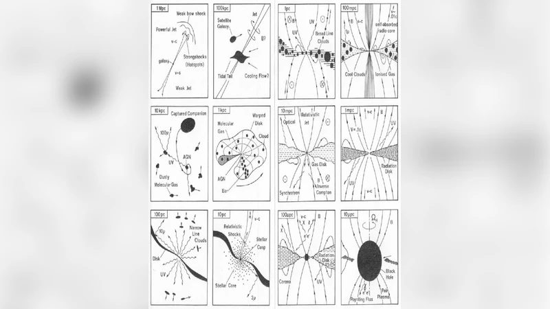 Active Galactic Nuclei and their role in Galaxy Formation and Evolution