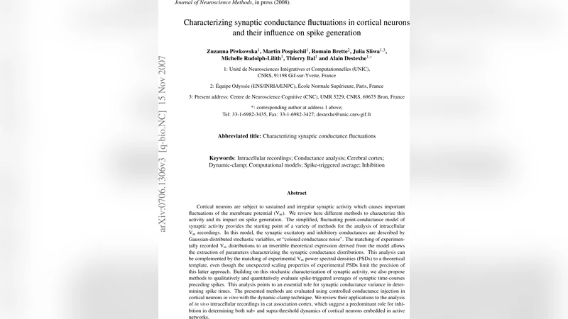 Characterizing synaptic conductance fluctuations in cortical neurons and   their influence on spike generation