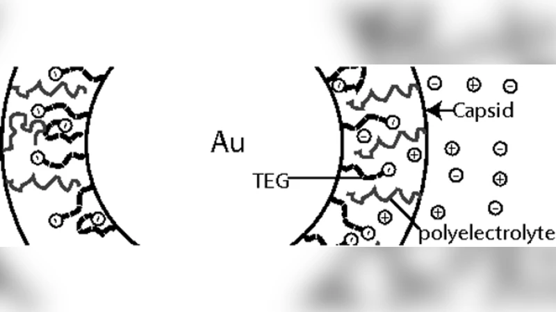 Certifying cost annotations in compilers