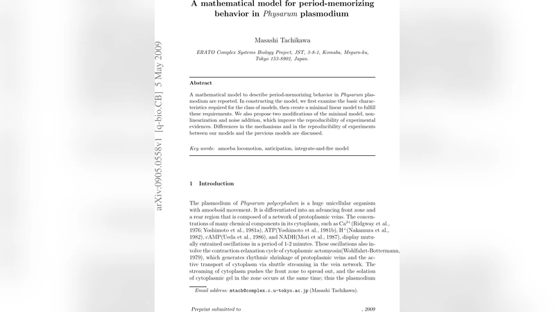 A mathematical model for period-memorizing behavior in Physarum   plasmodium
