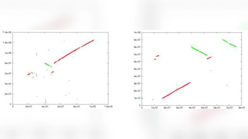 WinBioinfTools: Bioinformatics Tools for Windows High Performance   Computing Server 2008