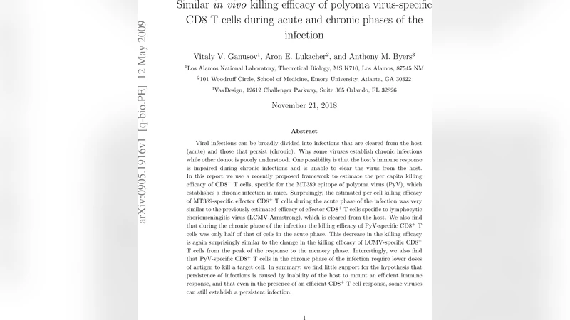 Similar in vivo killing efficacy of polyoma virus-specific CD8 T cells   during acute and chronic phases of the infection