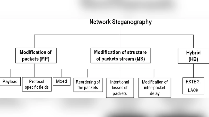 Hiding Information in Retransmissions