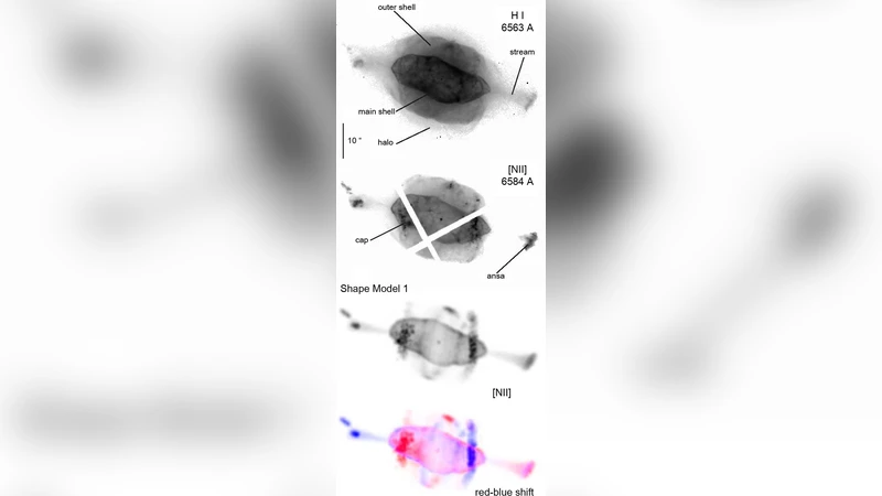 The 3D velocity structure of the planetary nebula NGC 7009