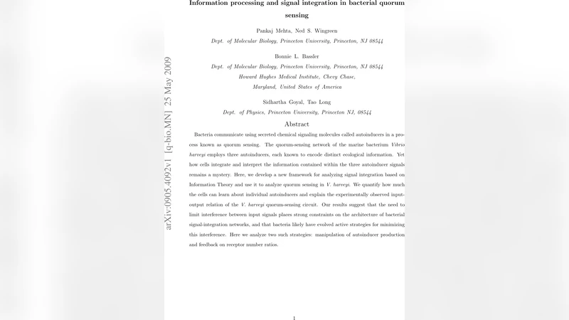 Information processing and signal integration in bacterial quorum   sensing