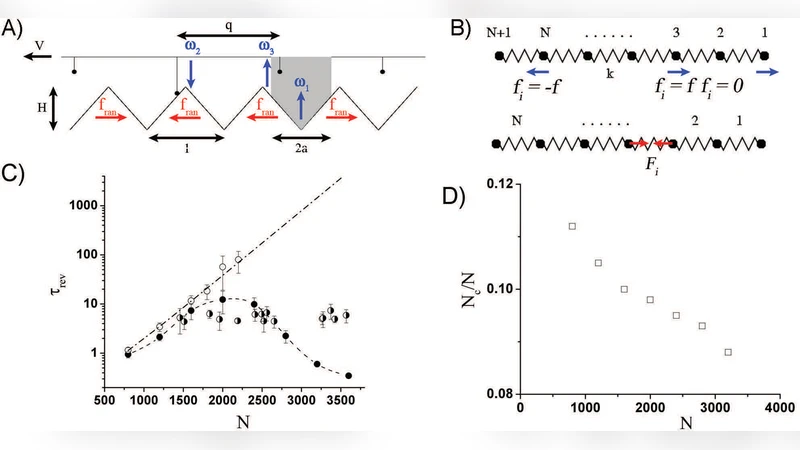 Bidirectional cooperative motion of myosin-II motors on actin tracks   with randomly alternating polarities