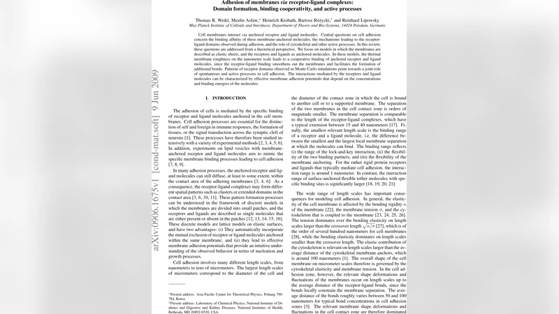 Filtering Additive Measurement Noise with Maximum Entropy in the Mean