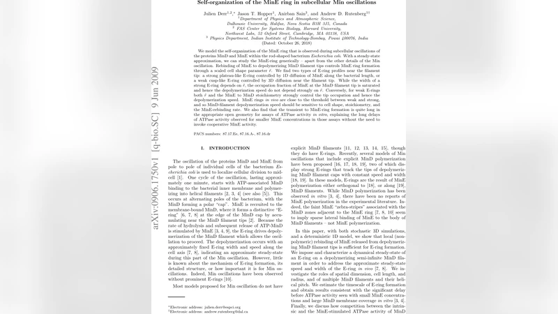 Self-organization of the MinE ring in subcellular Min oscillations