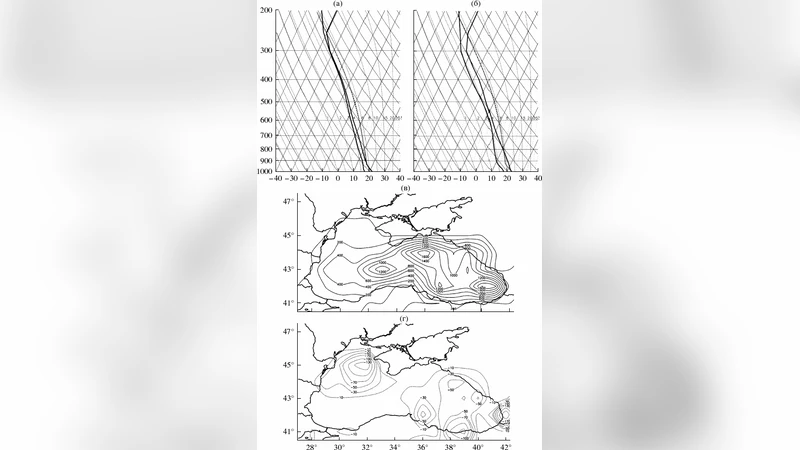 Numerical Simulation of a Quasi-Tropical Cyclone over the Black Sea
