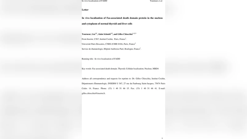 In Vivo Localization of Fas-Associated Death Domain Protein in the   Nucleus and Cytoplasm of Normal Thyroid and Liver Cells