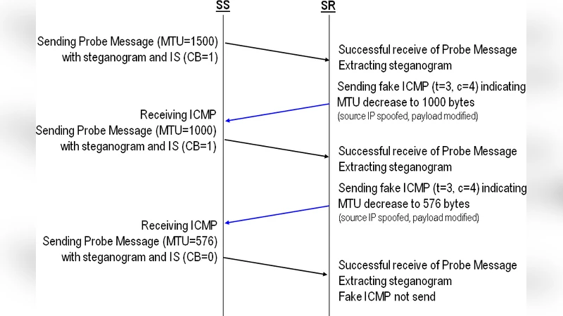Steganography in Handling Oversized IP Packets