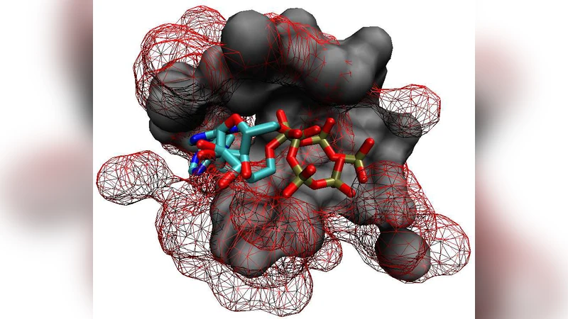 A new protein binding pocket similarity measure based on comparison of   3D atom clouds: application to ligand prediction