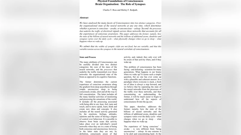 Physical Foundations of Consciousness: Brain Organisation: The Role of   Synapses