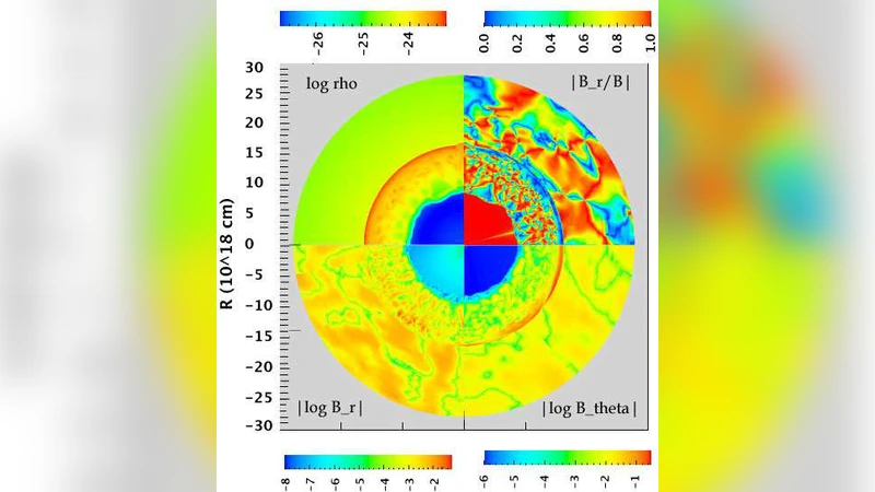 Evolution of Magnetic Fields and Cosmic Ray Acceleration in Supernova   Remnants