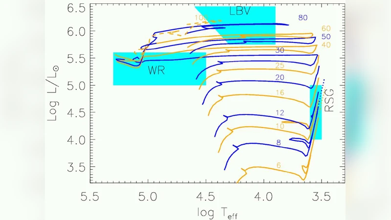 Probabilistic approach to a proliferation and migration dichotomy in the   tumor cell invasion