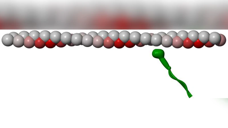 Twirling motion of actin filaments in gliding assays with non-processive   myosin motors
