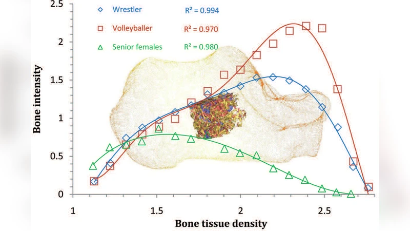 Distribution Principle of Bone Tissue