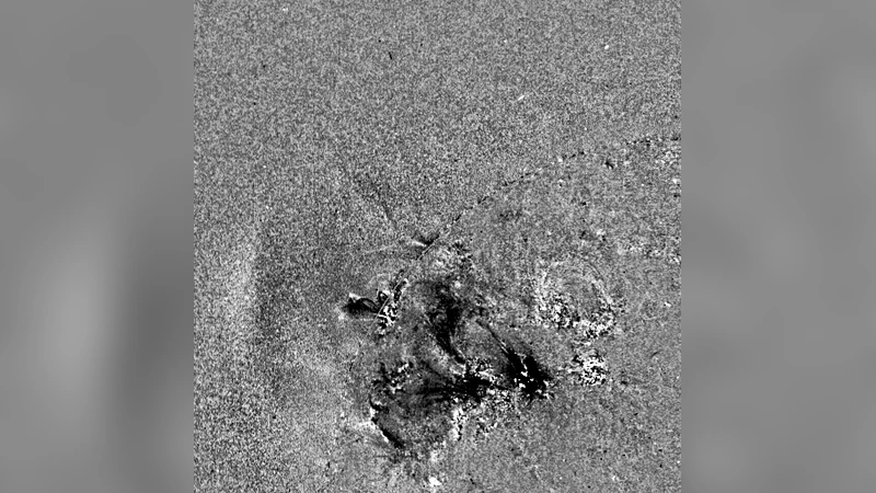 Eruptions of Magnetic Ropes in Two Homologous Solar Events on 2002 June   1 and 2: a Key to Understanding of an Enigmatic Flare
